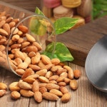 그릭요거트보관 견과류 원두 마카롱 다용도 내열유리 : 비에브리