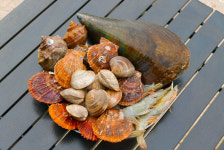 [수니수산] 모듬 조개구이 밀키트 조개찜 조개탕 세트 생물 캠핑 구이용 : 목포수니수산