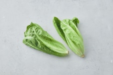 백광농장 국내산 로메인 상추(특) 2kg : 백광농장
