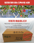 미미청 사과 2.5kg GAP 태안 서산 영산농원 : 영산 사과 농원