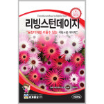 리빙스턴데이지 1000립 / 데이지 씨앗 종자 꽃씨 화단만들기 꽃잔디 아이스플란트 : 초록스타