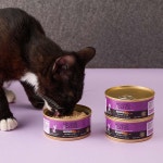 하운드앤가토스 고양이 습식 주식캔 칠면조+칠면조간 156g (25년9얼) : 싸다구펫 쇼핑몰