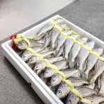 [입점 할인] 국민마트 법성포 영광굴비 진공포장 굴비 조기 생선 선물세트 제수용 : 국민안심마트