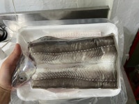 산지 직송 통영 자연산 약장어 특대 바다장어 1kg : 통영은정수산