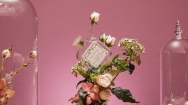 산타마리아 노벨라 로사 가데니아 50ml 이태리 직수 : 유로레벤