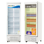 약국 쇼케이스 냉장고 380L : 팜우렁각시