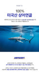 셀메이드 콘드로이친 상어연골 무릎영양 뼈건강 HACCP인증 : 신짱나라