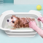 애견스파욕조 반려견 목욕통 강아지목욕탕 고양이욕조 : 셀러엘
