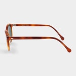 [관부가세 포함] TBD 선글라스 Cran Classic Tortoise & Polarized : 레미 스토어