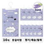 습기제로 효과빠른 초강력 습기제거제 향기나는 옷장 제습제 10개 : 커머스체인