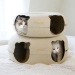 소심한호랑이 고양이장난감 버터링터널 고양이터널 숨숨집 중형 : 소심한호랑이