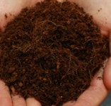 코코피트 코코핏 톱밥 블럭 곤충바닥재 달팽이흙 파충류 매트 달팽이키우기 2L 5개 : 나이스토리몰