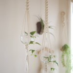 반려식물, 식집사를 위한 마크라메 플랜트행거 : 손재주공장 마크라메