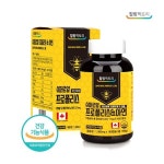6개월분 힐링포뮬라 캐나다 슈퍼로얄 프로폴리스 1000mg 아연 면역력 영양제 180캡슐, 1개 : 헬스케어커머스 힐링팩토리