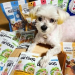 베러펫 개똑 강아지 습식사료 주식 파우치 소고기+오리+참치 70g, 24개 : 베러펫몰