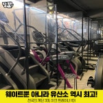 달팽이휘트니스 회원권 : 달팽이휘트니스