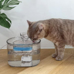 보드미펫 고양이 강아지 정수기 자동 모션센서 급수기 음수대 2 : 보드미펫