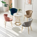 엘레강스 라운드 벨벳 골드 등받이 카페 의자(4색) 1인 예쁜 안락 명품 : 자르파라