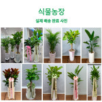 브이아이피장례식장 화환배달 근조 장례식장 : 축하화환 근조화환 개업화분