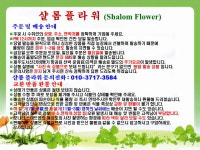 발렌타인데이 동백68 : 샬롬꽃농원