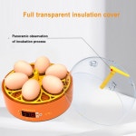 부화장 6 계란 자동 병아리 닭 메추리 인공 부화기 달걀 새 관찰 인큐베이터 메추라기 : 다모아 점방