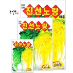 텃밭 농사 주말농장 가을 속노란 청방 김장배추 김치 종자 씨앗 진선노량배추 1000립 : 농사농