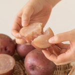 제주담은 홍지슬(홍감자) : 제주담은농장