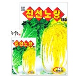 텃밭 농사 주말농장 가을 속노란 청방 김장배추 김치 종자 씨앗 진선노량배추 1000립 : 농사농