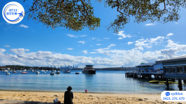 시드니 공항픽업 동부해안 한인 택시 픽업 단독차량 : 시드블루