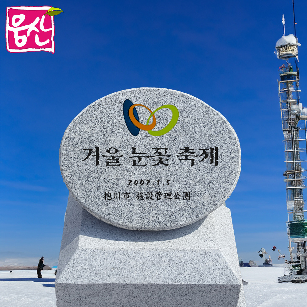 안동 병산서원 윤석열 전 대통령 기리는 기념식수 비석 실종 사건 발생, 경찰 수사 진행