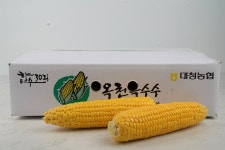 [대청농협] 향수 30리 초당옥수수[10개입] : 충북농협온마켓