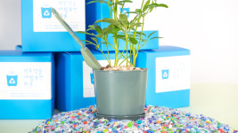 폐페트병을 재활용하여 만든 업싸이클링 미니 화분 세트(화분, 받침대, 모종삽) : JS 글로벌유통