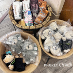 [푸켓언니] 태국 스타벅스 전용 MD 코끼리 베어리스타 봉제 인형 : 푸켓언니