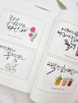캘리그라피 독학연습책 붓펜캘리그라피 입문세트 책 : 미션앤캘리