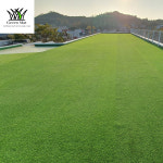 코오롱 인조잔디20T 시공 옥상 마당 애견 카페 경기장 테라스 매트 전주군산익산매트 : 인조잔디푸른매트