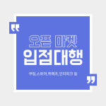 [쇼핑몰 김비서] 쇼핑몰 창업 오픈마켓 입점대행 : 쇼핑몰 김비서
