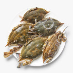 몽당 꽃게 수꽃게 암꽃게 1kg (급랭 봄 가을 제철) 파품 : 인어교주해적단