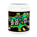 롯데 자일리톨 리필트윈 105g 애플민트향 츄잉껌 : 세기푸드