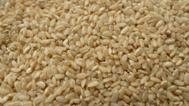 [정기구독] 25년 햇곡 국산 유기농 현미 쌀 4kg : 보배마을