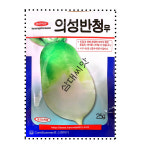 무씨앗 종자 의성반청무 25g 재래종으로 단경기는 열무용 그대로 놔두면 가을김장용 무 : 삼대씨앗
