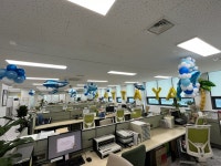 출장 풍선장식 일만원 결제창 : 모멘토펠리스