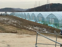 장수 두께0.1mm 장수 폭4M 길이12M 낙타표 비닐하우스 농업용필름 : 에이스농자재