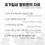 [요가일상 합정] 월 정규 매일수련권 (평일+주말) : 요가일상