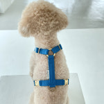 (마린블루) 하네스 포리하우스 강아지 고양이 가슴줄 소형견 중형견 H형 여름 하네스 : 포리하우스