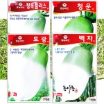 가을무 김장무 종자 맛있는 청운무 토광무 백자무 청복플러스무 씨앗 2000립 : 농사농
