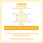 [홀빈_블렌딩] 금빛블렌딩 500g : 미사동 커피공동체 협동조합