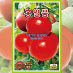 토마토씨앗 홍일품 1천립 완숙토마토씨앗 고급종 종자 : 올 씨앗마트