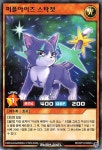 퍼플아이즈스타캣 / RD/KP12-KR014 / Normal Rare / 한글판 / 러시듀얼 / [RD/강습의더블스타!!] : TCG 카드프리덤