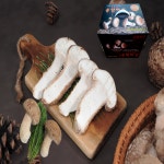 송화고 송고송화 착한송이 선물용일품 송향버섯1kg : 송향버섯농장