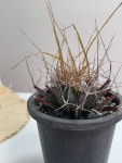 광산 : office samak49